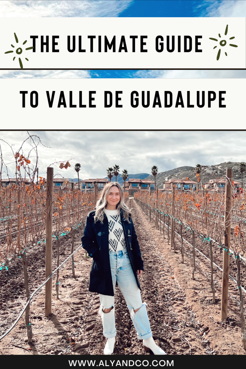 The Ultimate Guide to Valle de Guadalupe- Mexico's Wine Country