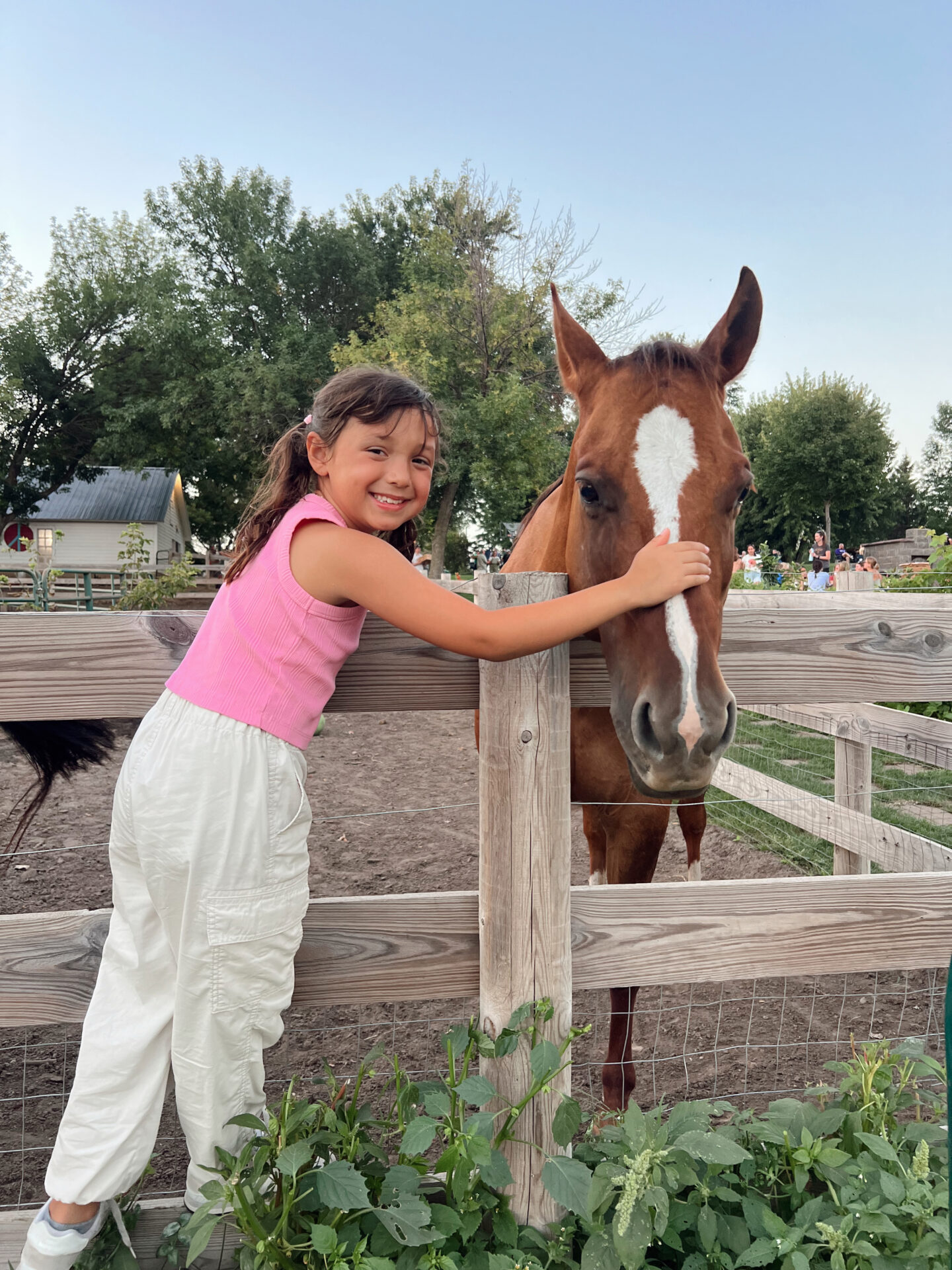 Minnesota farm with horse